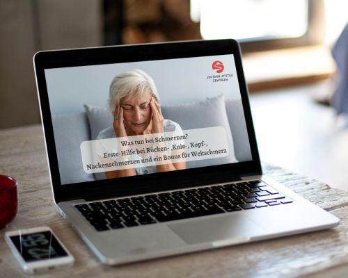 Was tun bei Schmerzen? Jin Shin Jyutsu Online-Workshop