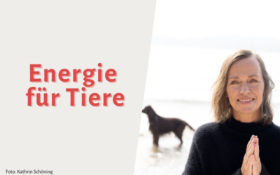 Die Kraft des Strömens: Jin Shin Jyutsu für Tiere (#199)