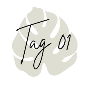 B_Tag01