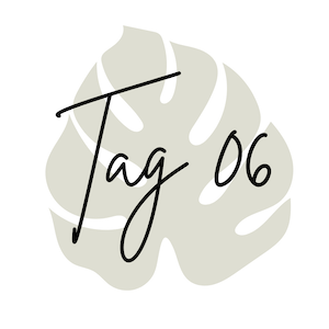 B_Tag06